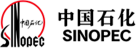 首页插图19