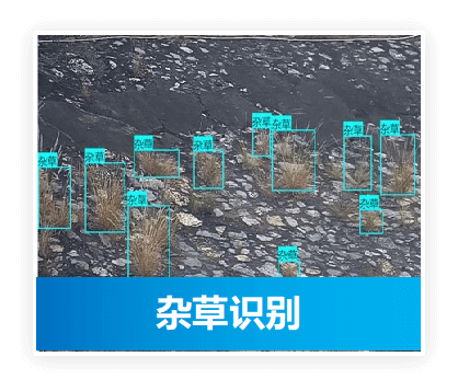 水利AI智能应用